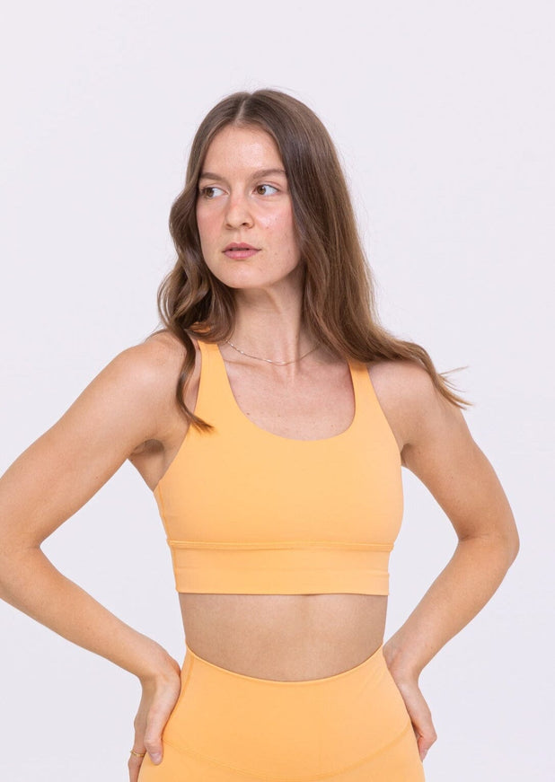 Arms of Andes Women's Alpaca Wool Sports Bra: 110 Ultralight : :  Clothing, Shoes & Accessories